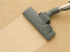 Professional Carpet Cleaning Advantage