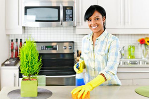 Regular Maid Service in Houston