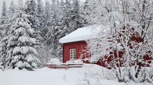 live-norway-oslo-winter-lake-house